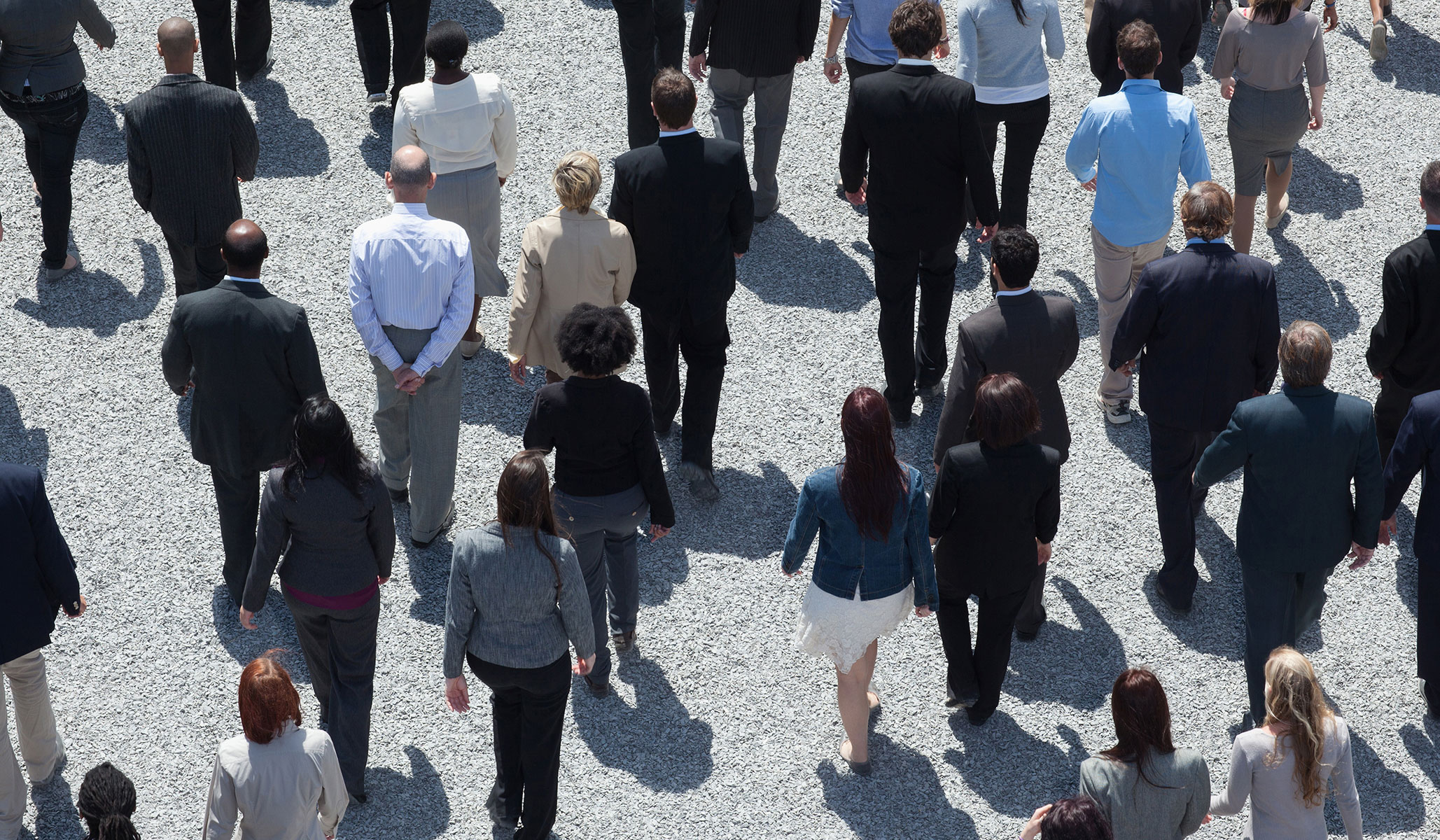 Free-Market Responses to an AI-Induced Economic Collapse