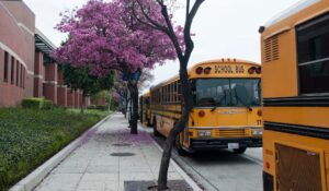 Federal Investigation Finds California Risking $5 Billion by Excluding Parents from Students’ Gender-Transition Plans