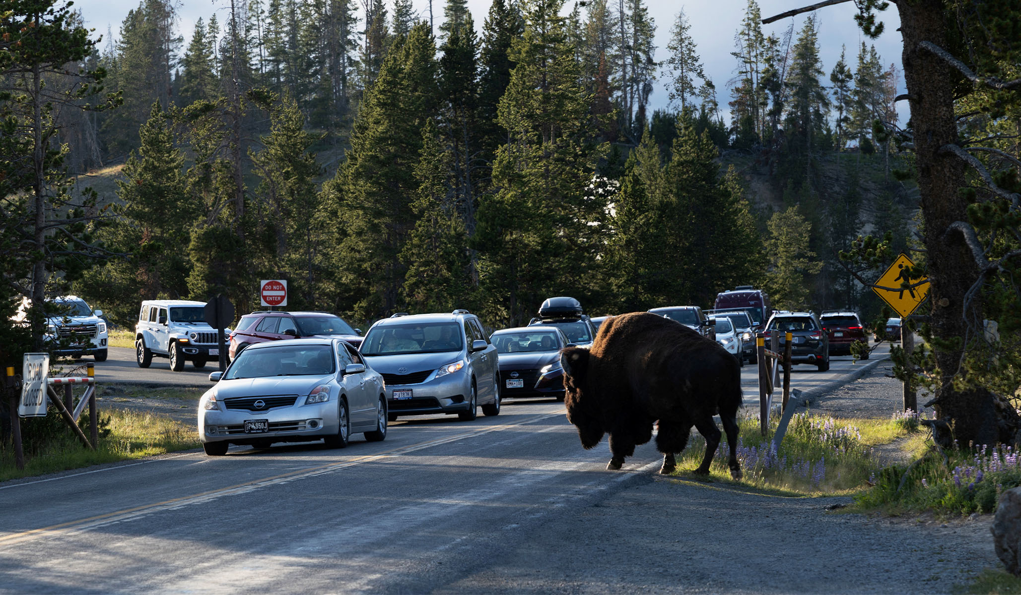 Progress in Maintaining America’s National Parks at Risk